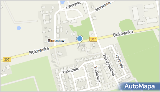 Events Service Sobisiak Krzysztof, ul. Bukowska IV/456, Sierosław 62-080 - Przedsiębiorstwo, Firma, NIP: 7792214535