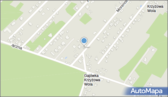 6641893561, Ewa Jop Auto Wais 