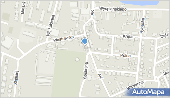 8841904879, Ewa Przyłęcka Upominki - Kwiaty 