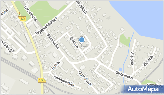 Ex Musix, Gracza Zygmunta 11, Międzychód 64-400 - Przedsiębiorstwo, Firma, NIP: 5951175799
