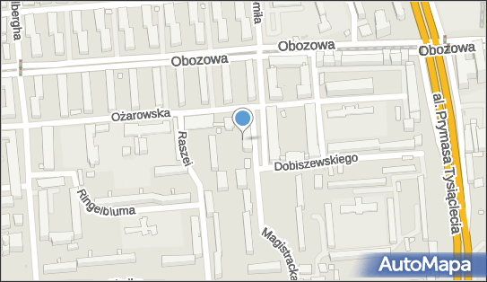 002173058, Export-Import, Handel Obwoźny Dłużniewski w. 