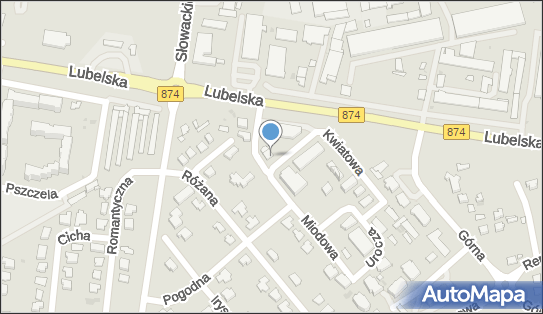 F H Kameleon, Kwiatowa 18, Puławy 24-100 - Przedsiębiorstwo, Firma, numer telefonu, NIP: 7162196178