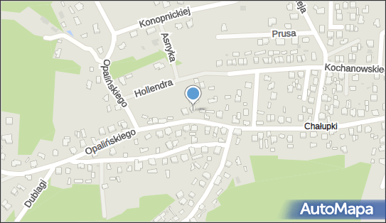 8161006650, F.H.Selmar Elżbieta Skowronek 