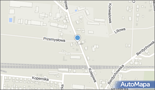 F H U Ale Ciacho, Kolejowa 11, Kobylin 63-740 - Przedsiębiorstwo, Firma, NIP: 6991002019