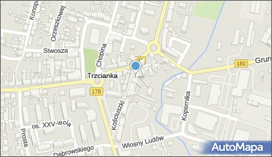 F H U Blue Water, Kościuszki Tadeusza, gen. 7, Trzcianka 64-980 - Przedsiębiorstwo, Firma, NIP: 7631424948