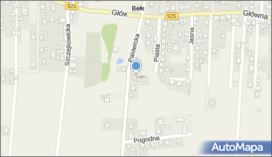 F H U Danis, ul. Palowicka 9, Bełk 44-230 - Przedsiębiorstwo, Firma, NIP: 6421214546