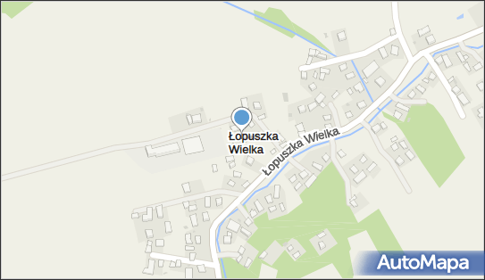 F H U Delfinek, Łopuszka Wielka 66, Łopuszka Wielka 37-220 - Przedsiębiorstwo, Firma, NIP: 7941651874