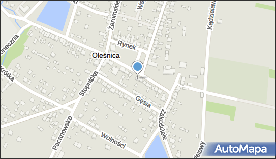 F.H.U.Elżbieta Olszowa Sklep 1002 Drobiazgi, ul. Rynek 8, Oleśnica 28-220 - Przedsiębiorstwo, Firma, NIP: 6551002162