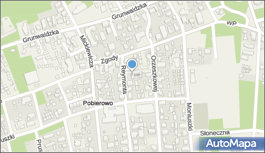 320654107, F.H.U.Gojmix Piotr Gojlik 