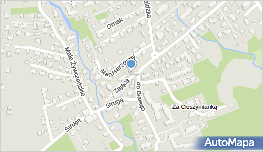 7360003168, Firma Usługowo-Handlowa Stanisława Pyziak 