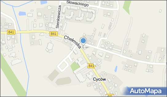 F H U Tsain, ul. Chełmska 29, Cyców 21-070 - Przedsiębiorstwo, Firma, NIP: 5651274155