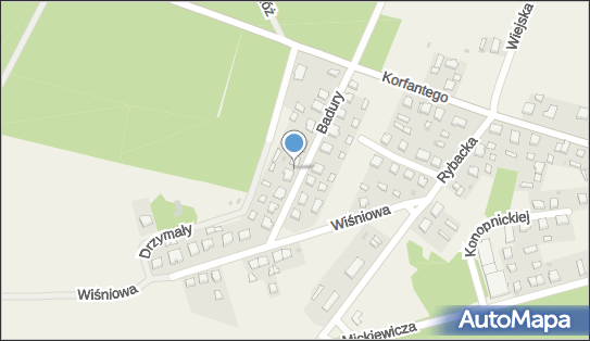 F H U, ul. Jerzego Badury 14, Goszcz 56-416 - Przedsiębiorstwo, Firma, NIP: 9111295084