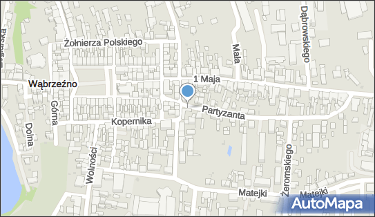 8781532930, F.H.U.Witt Bogdan 
