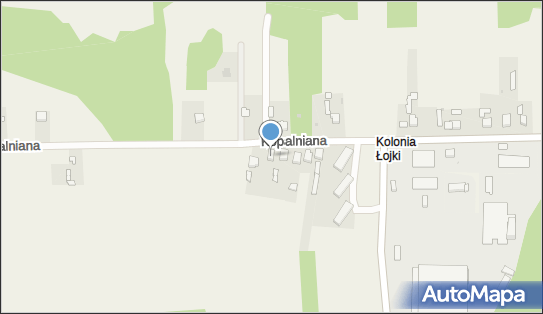 F H U, ul. Kopalniana 11, Łojki 42-290 - Przedsiębiorstwo, Firma, NIP: 5732597589