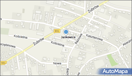 F U Medion, Jankowice 14, Jankowice 43-215 - Przedsiębiorstwo, Firma, NIP: 7811307196