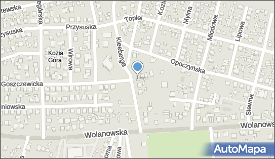 Falspeed Transport Międzynarodowy Falkiewicz Artur, Radom 26-600 - Przedsiębiorstwo, Firma, NIP: 9481772688