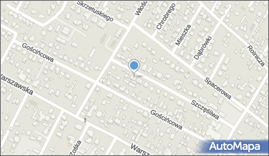 1181615957, Farmanet Trading sp. z o.o. 