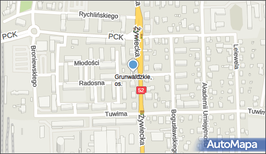 243395987, Fast Car Damian Skowronek 