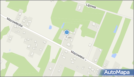 Feniks Security Law, ul. Mazowiecka 64, Budy Zaklasztorne 96-330 - Przedsiębiorstwo, Firma, NIP: 8381756933
