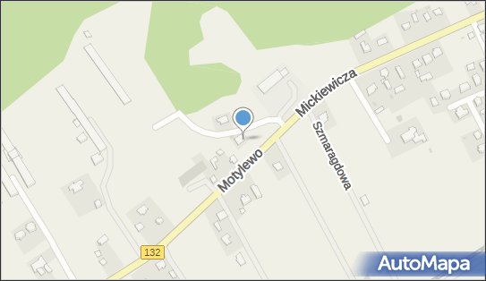 Ferma Drobiu Lewandowicz Maria, Motylewo 53, Motylewo 66-450 - Przedsiębiorstwo, Firma, NIP: 5991909960