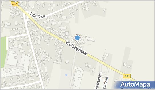 Ferma Lisów, Wolsztyńska 37, Siedlec 64-212 - Przedsiębiorstwo, Firma, numer telefonu, NIP: 9230022820