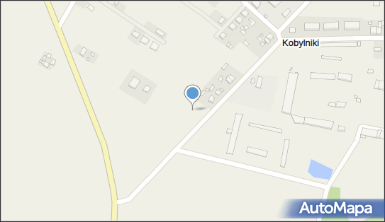 Ferre Transport, Słopanowo-Huby 31A, Słopanowo 64-520 - Przedsiębiorstwo, Firma, numer telefonu, NIP: 7872104984