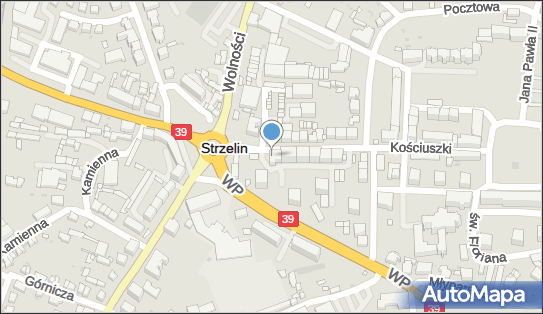 Ferruslex, ul. Tadeusza Kościuszki 33, Strzelin 57-100 - Przedsiębiorstwo, Firma, numer telefonu, NIP: 6141532481