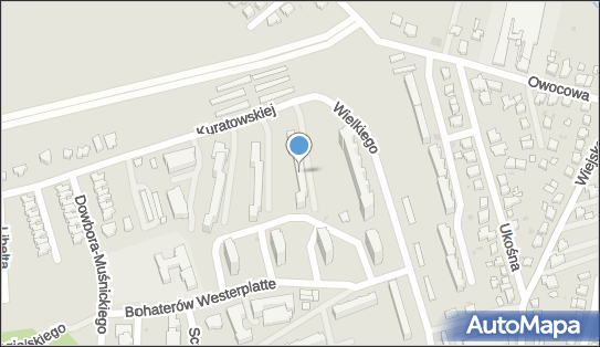 Fhu Alit, ul. Adolfa Warskiego 9, Gorzów Wielkopolski 66-400 - Przedsiębiorstwo, Firma, NIP: 5992306100