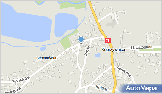 8641815214, Fhu KamTrans Usługi Transportowe Paweł Niziałek 
