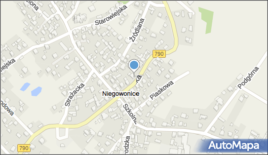 Fhu Niko Marianna Nowicka, Pilicka 6, Niegowonice 42-454 - Przedsiębiorstwo, Firma, numer telefonu, NIP: 6491366770
