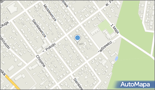 8212529258, Firma Handlowo Usługowa 