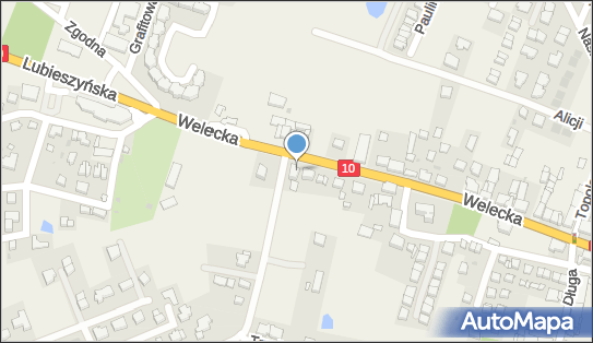 Fhu Plus Krzysztof Kozłowski, Welecka 23d, Mierzyn 72-006 - Przedsiębiorstwo, Firma, NIP: 8521011720