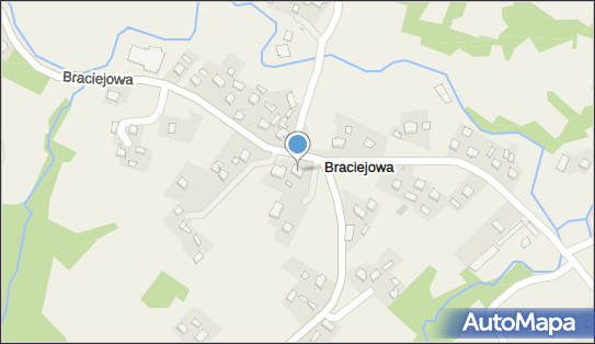 Fhu Timsun, Braciejowa 117, Braciejowa 39-208 - Przedsiębiorstwo, Firma, NIP: 8721932100