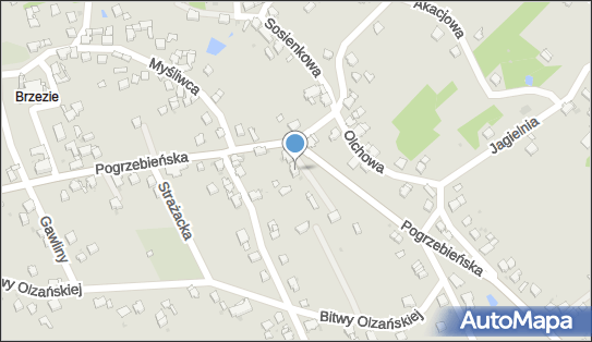 Fhu Witczak Sebastian, Pogrzebieńska 48, Racibórz 47-400 - Przedsiębiorstwo, Firma, NIP: 7311934659