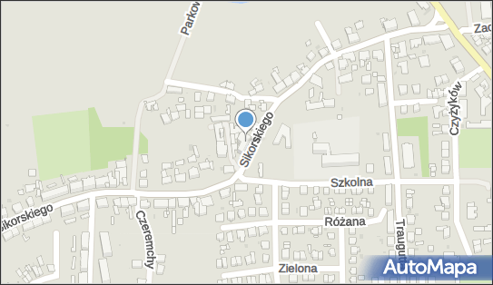 9690194497, Ficoń Adrian 