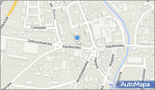 6421032874, Ficoń Bogdan Pracownia Protetyczna 