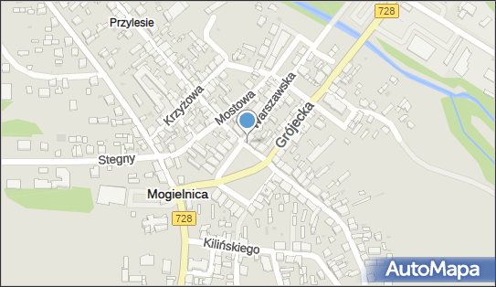 Firanki, Rynek 18, Mogielnica 05-640 - Przedsiębiorstwo, Firma, NIP: 7971641099