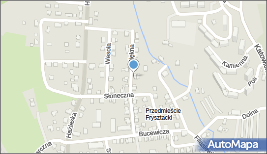 Firma Aces Ewa Sikora, Piękna 21, Cieszyn 43-400 - Przedsiębiorstwo, Firma, NIP: 5480054931