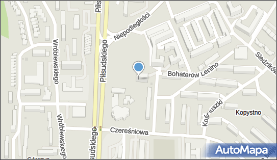 Firma Bosiu, Bohaterów Lenino 5A, Gorzów Wielkopolski 66-400 - Przedsiębiorstwo, Firma, NIP: 5992009052