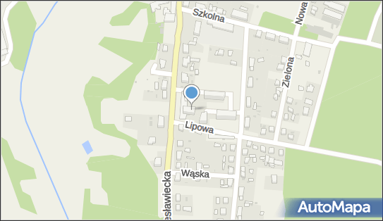 Firma Denis, ul. Lipowa 1A/3, Leszno Górne 67-321 - Przedsiębiorstwo, Firma, NIP: 9241130335