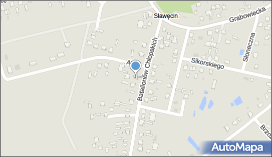 Firma Dino, Batalionów Chłopskich 12, Hrubieszów 22-500 - Przedsiębiorstwo, Firma, NIP: 9191362373