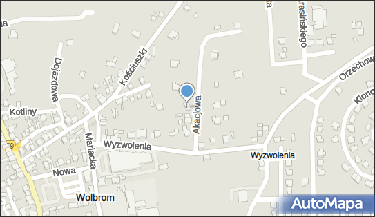 Firma Handlowa Adamex Piotr Adamek, Akacjowa 7, Wolbrom 32-340 - Przedsiębiorstwo, Firma, NIP: 6371091997