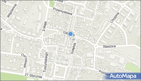 Firma Handlowa Aleksandra Maria Bieniawska Reich, Szeroka 8 62-065 - Przedsiębiorstwo, Firma, NIP: 7881130739