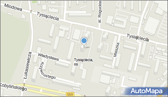 Firma Handlowa Argus U H Kołakowscy, ul. Tysiąclecia 9/1, Płock 09-400 - Przedsiębiorstwo, Firma, numer telefonu, NIP: 7742410429