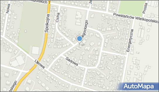 9231653333, Firma Handlowa 