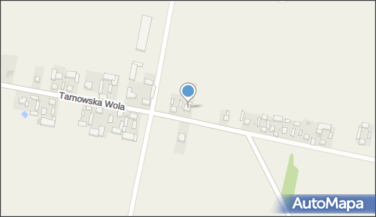 7731065294, Firma Handlowa 