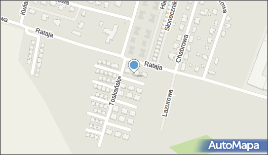 321004890, Firma Handlowa Elwira Mielnik.Auto Naprawa Elwira Mielnik 