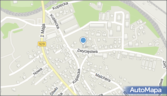 Firma Handlowa Import-Eksport Bugdoł Ilona, Zwycięstwa 1, Rybnik 44-206 - Przedsiębiorstwo, Firma, NIP: 6420405273