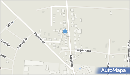 6211637594, Firma Handlowa 