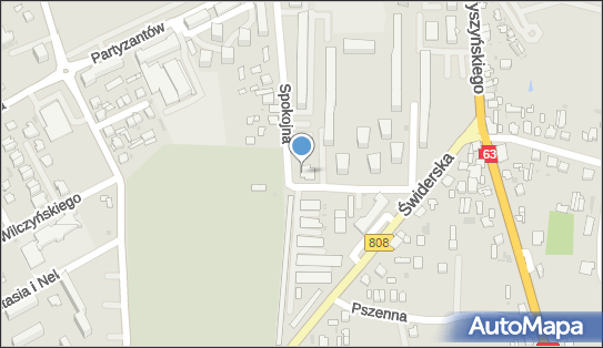 8251053067, Firma Handlowa